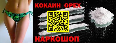 бошки Дубна