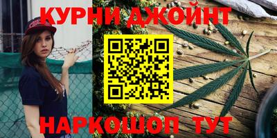 бошки Дубна