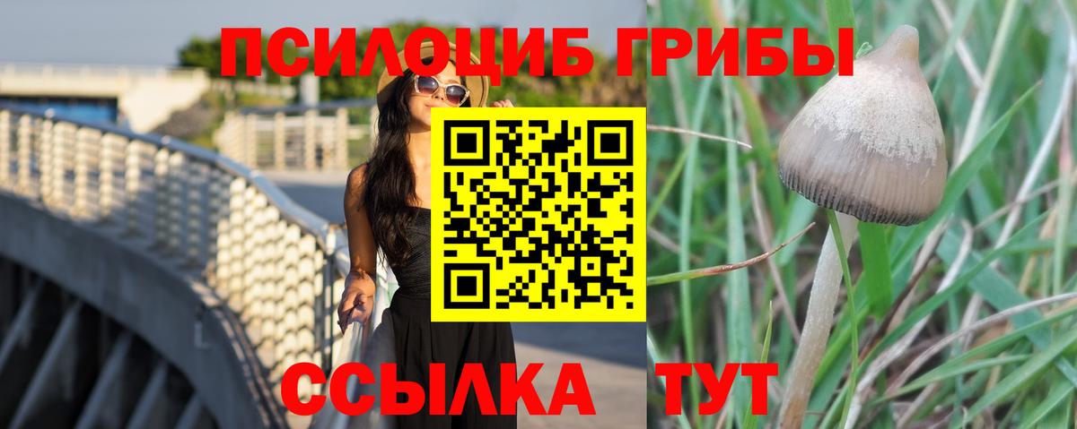 Моздок  Псилоцибиновые грибы Psilocybine cubensis  магазин    Псилоцибиновые грибы мухоморы  Вход с VPN 