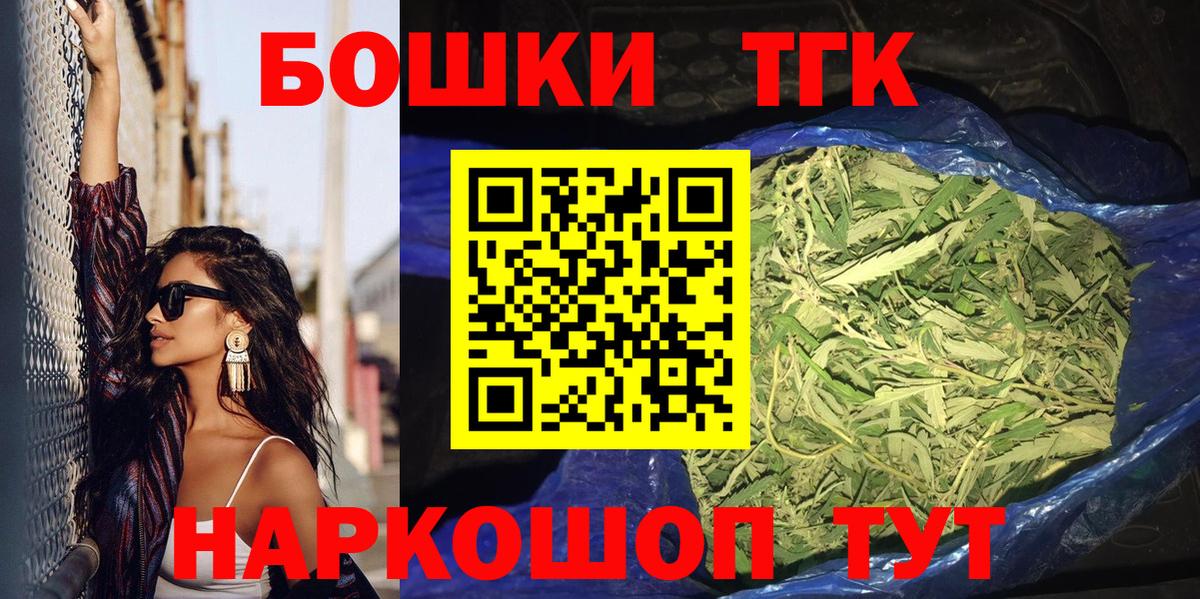 МЕФ Моздок